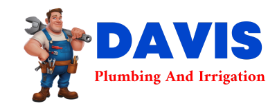 Trusted plumber in SAVOY